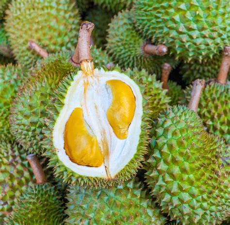 durian frucht